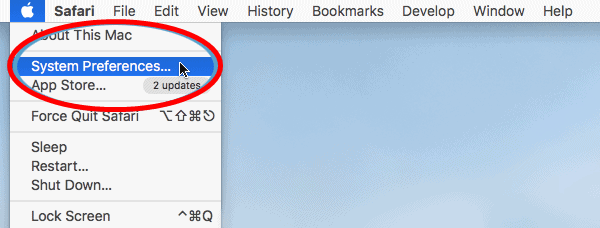 How Can I Find My macOS Computer's local IP Address?