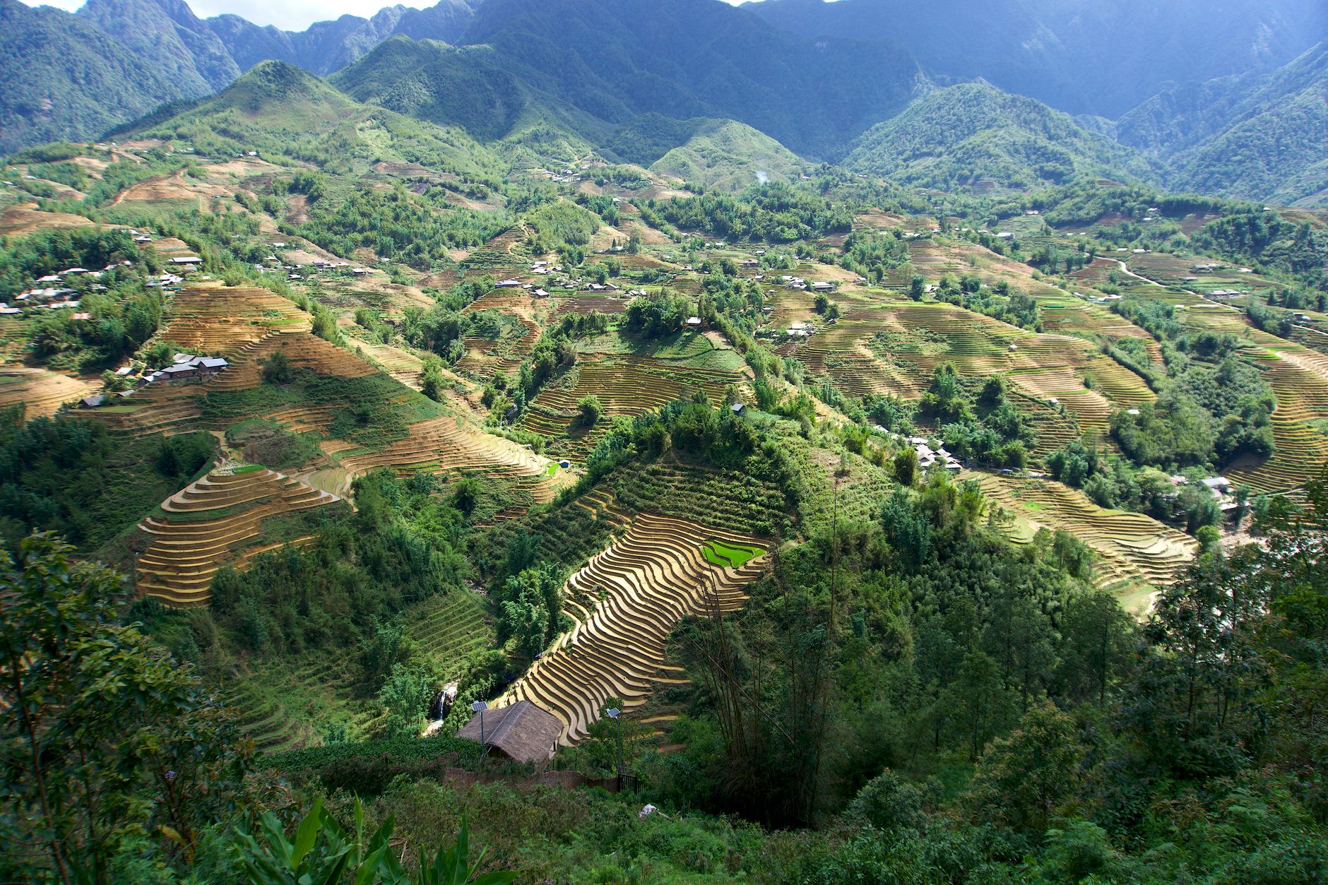 Vaste risaie terrazzate che scendono a cascata lungo le montagne di Sa Pa, a nord Vietnam