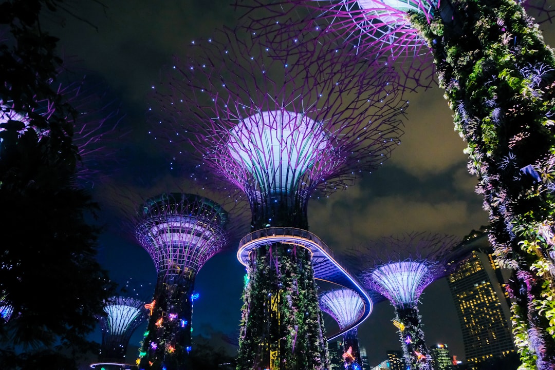 Gardens by the Bay Supertree Grove lit up in purple at night, Singapore