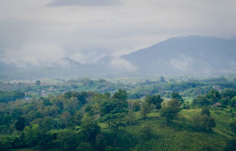 Lembah pegunungan hijau berkabut di bagian utara Thailand dekat Chiang Rai, dengan perbukitan berhutan dan awan rendah yang bergulir di atas puncaknya