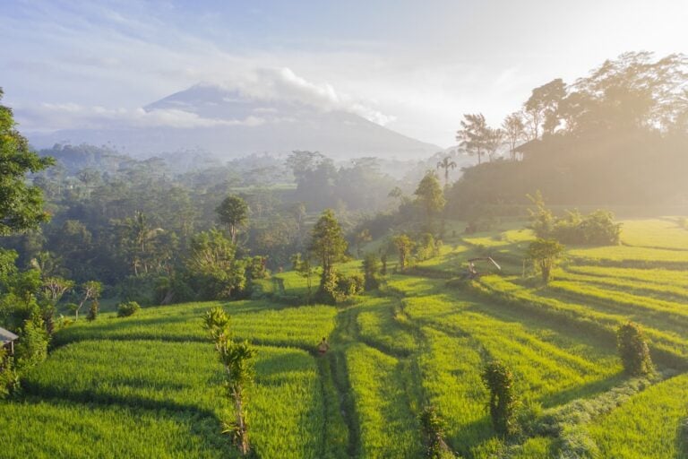 Bali risterrasser med tåget vulkan i baggrunden ved solopgang, Indonesien