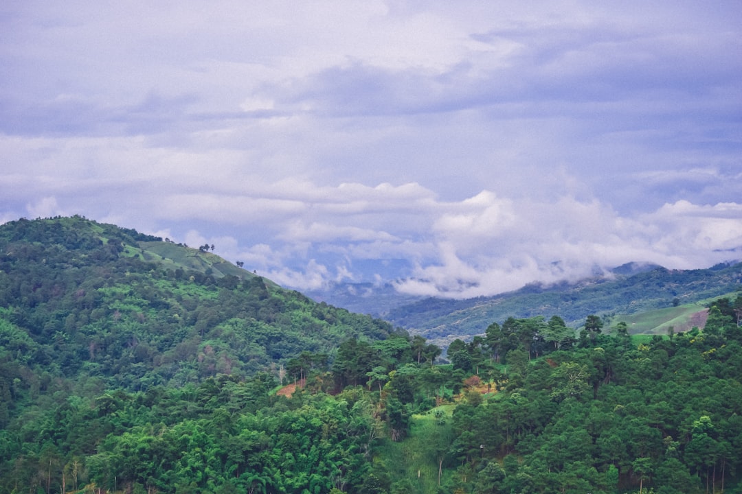 Bukit-bukit berhutan hijau subur di bawah langit berawan yang dramatis di bagian Utara. Thailand, jenis lanskap riderpertemuan di tanjakan berkelok-kelok menuju Mae Salong