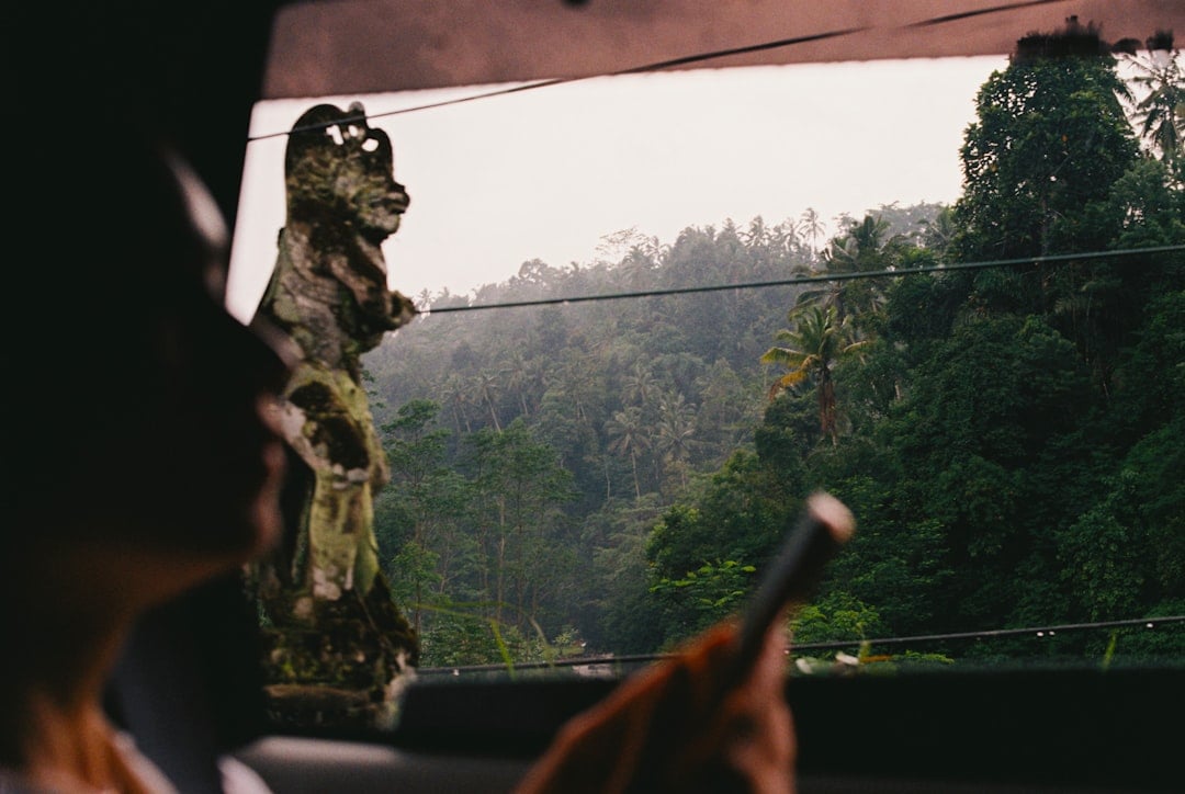 View from inside a car in Bali with a traditional stone guardian statue visible through the window, lush jungle in the background