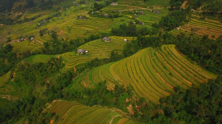 Aerial view of lush green rice terraces cascading across mountain slopes in Ha Giang, northern Vietnam
