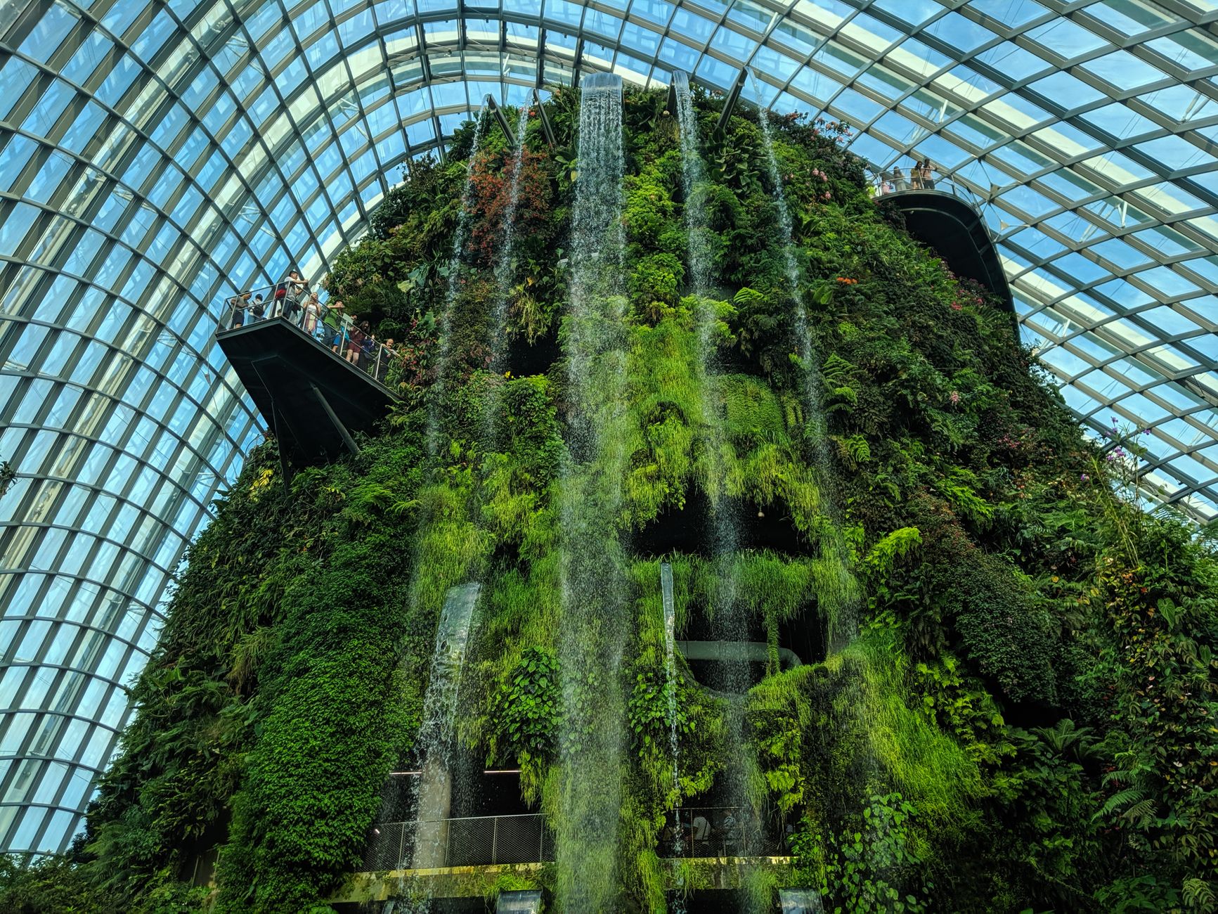 Indoor waterfall and lush greenery inside the Cloud Forest conservatory at Gardens by the Bay Singapore