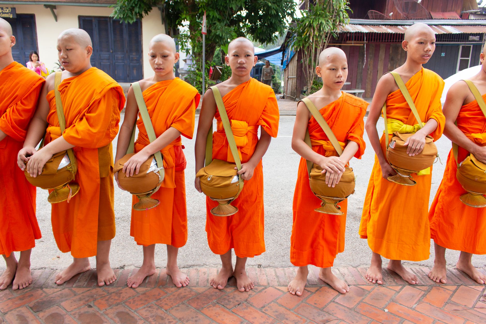 Young Buddhist monks in orange robes standing in a row holding alms bowls during a morning ceremony in Luang Prabang, Laos