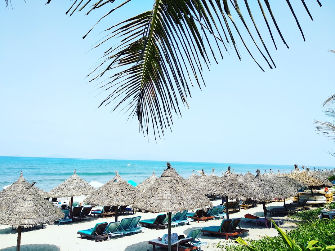 Straw beach umbrellas and lounge chairs on a white sand beach with turquoise water and palm fronds, central Vietnam