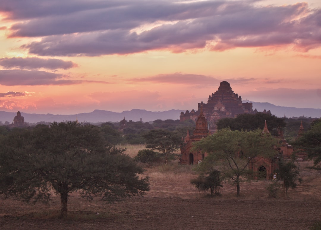 Bagan temple plain at sunset with a large pagoda rising above acacia trees and scattered smaller stupas, Myanmar