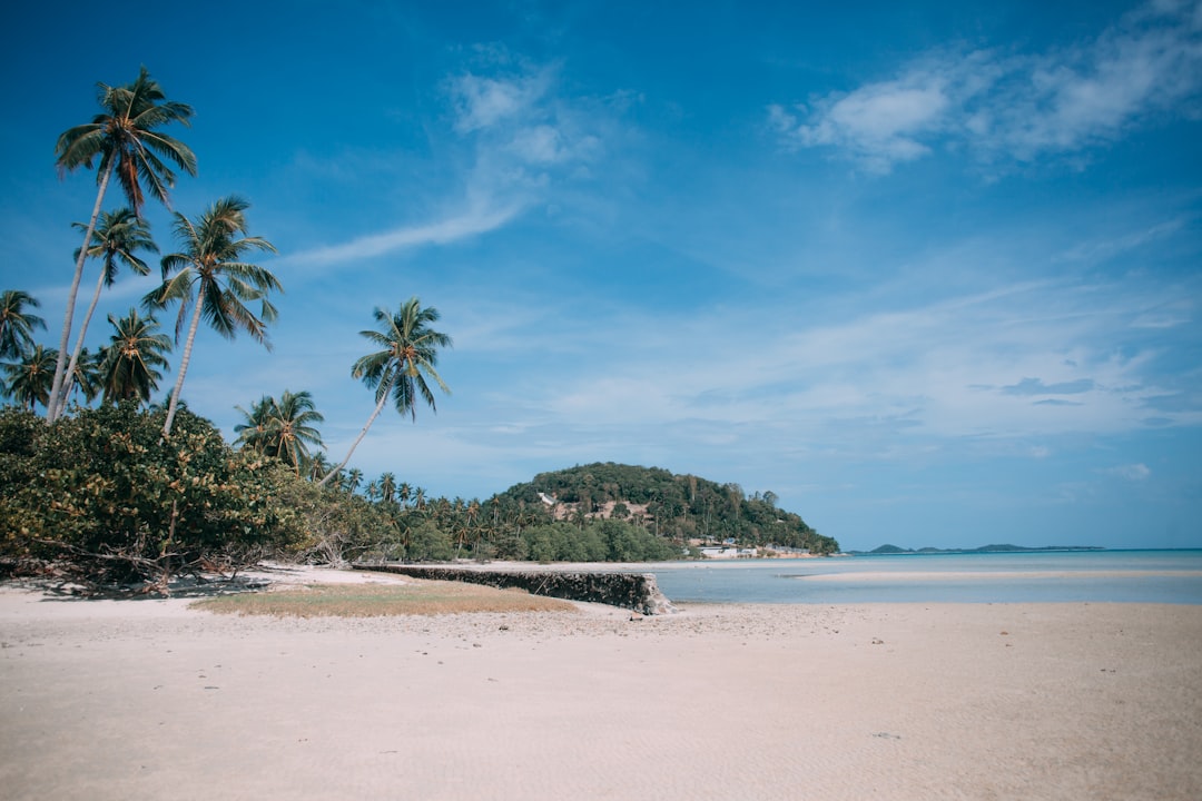 A quiet Thai island beach with white sand, palm trees, and a green hill in the background — typical of the Gulf of Thailand coastline