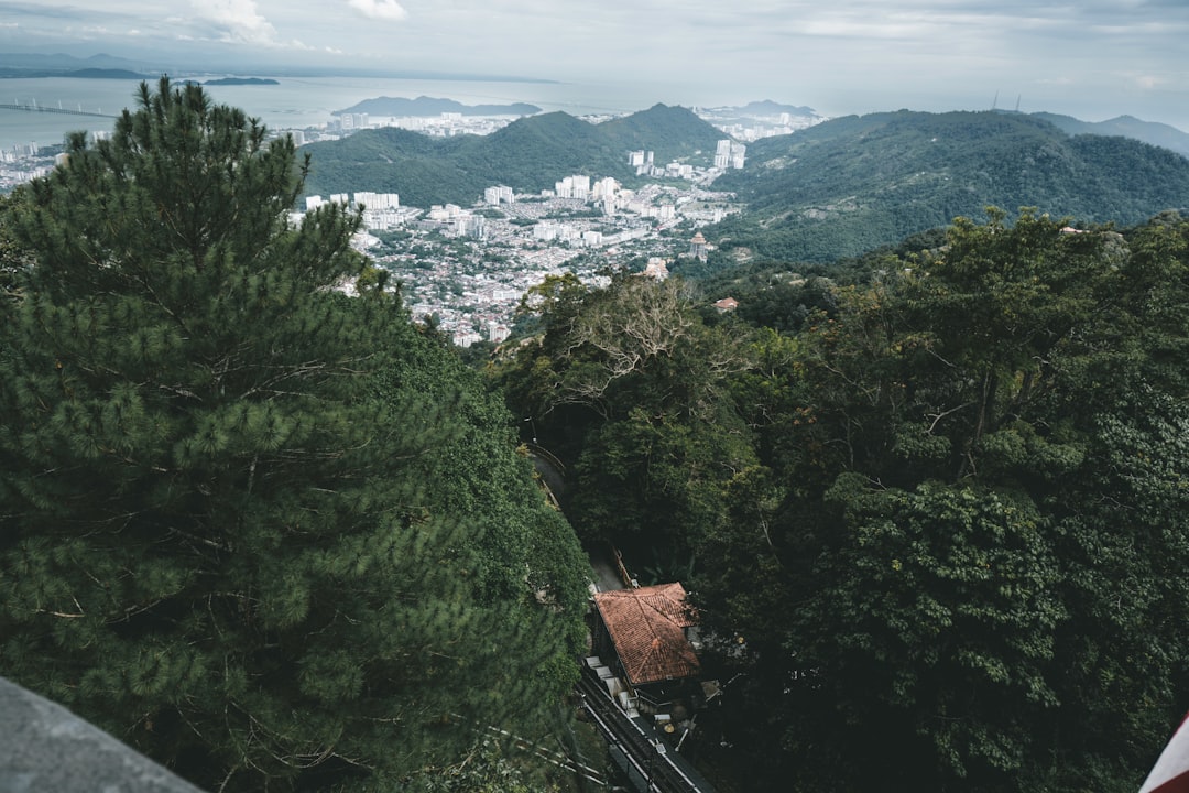 View from the top of Penang Hill (Bukit Bendera) looking down over George Town and the Penang channel, with the funicular track visible through the jungle canopy