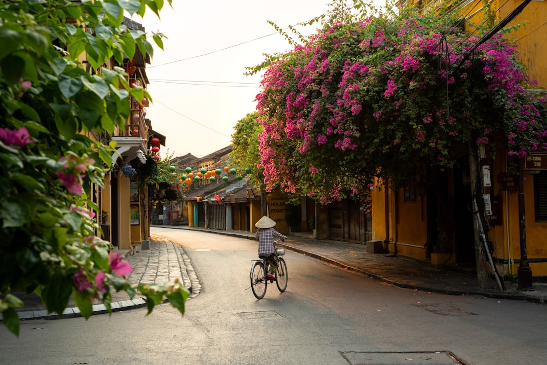 Cyclist in conical hat riding through Hoi An Old Town's quiet yellow-walled streets lined with bougainvillea, Vietnam
