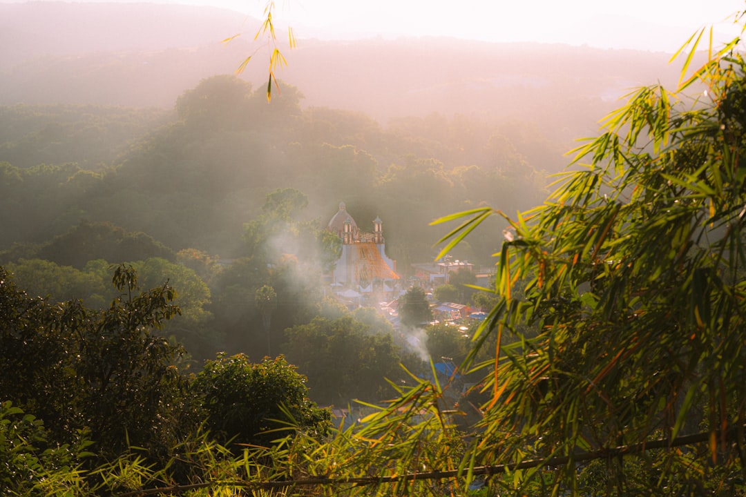 Misty jungle hillside with a building emerging through morning fog, evoking the atmosphere of Bokor Hill Station in Cambodia
